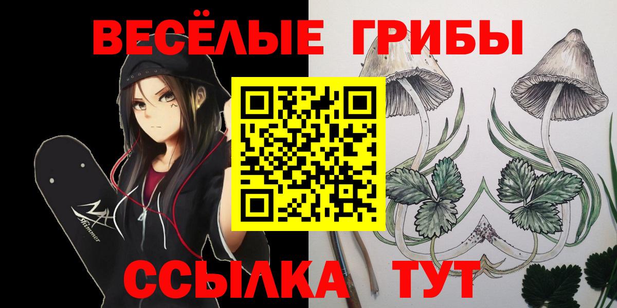 Галлюциногенные грибы мицелий  Галлюциногенные грибы прущие грибы  Вход с VPN  Артёмовский 